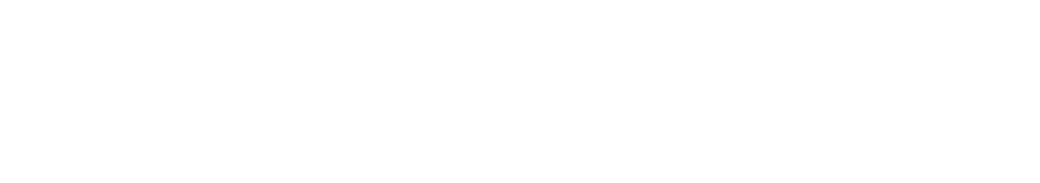 Silent Waves Logo